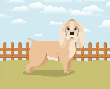 Cute cocker spaniel dog pet in the camp Stock Illustration