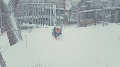 Cute cocker spaniel dog wearing a blue winter coat happily runs through deep 스톡 동영상 329422811