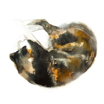 Cute colorfull sleeping cat isolated on white background. Watercolor. Watercolor Illustrazione stock