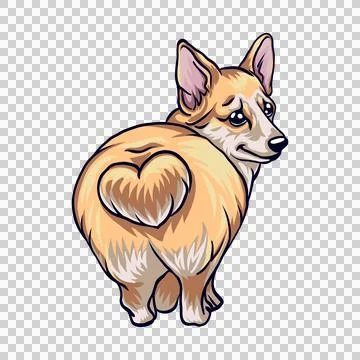 A cute corgi cartoon vector icon illustration. animal nature icon concept i.. Stock Illustration