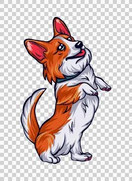 A cute corgi cartoon vector icon illustration. animal nature icon concept i.. Stock Illustration