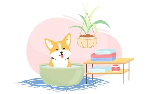Cute corgi dog taking bath vector illustration Stock Illustration