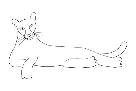 Cute cougar laying down hand drawn illustration. Stock Illustration