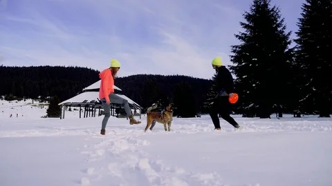 Cute couple enjoying their time in the nature with their dog. Stock Footage 84144792