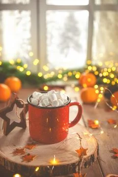 Cute cozy winter composition. Stock Photos