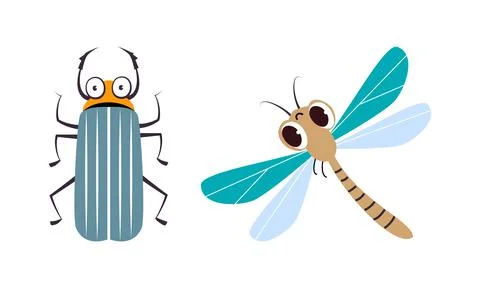 Cute Crawling Beetle and Flying Dragonfly as Garden Bug Vector Set Stock Illustration