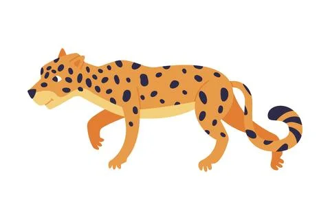 Cute crouching baby leopard. Side view of beautiful wild predator animal cartoon Stock Illustration