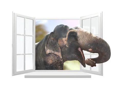Cute curious elephant stare at the opened window Stock Illustration