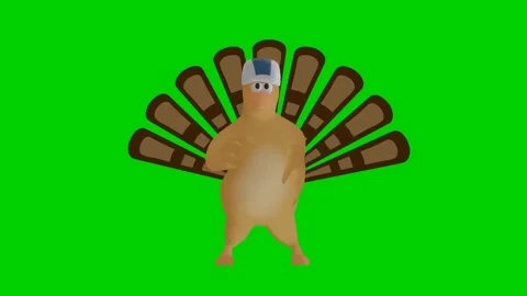 Cute dancing turkey: seamless looping 3d animation on green screen Stock Footage 251194870