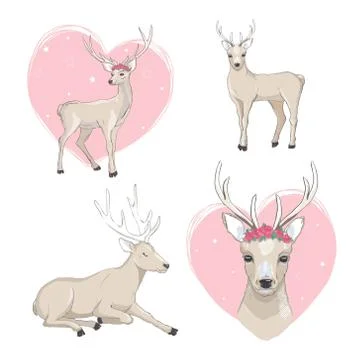 Cute deer cartoon vector set. Wildlife character collection. Forest animal. Stock Illustration