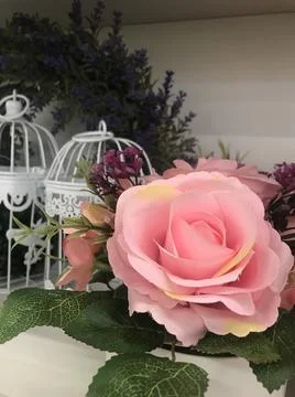 Cute design 写真素材