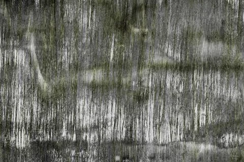 Cute design striped pine panel texture - abstract photo background Stock Illustration