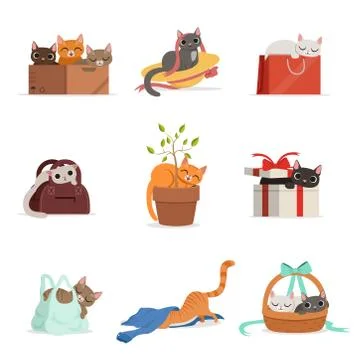 Cute differents cats having rest in their favorite places set of vector Stock Illustration