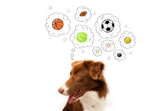 Cute dog with balls in thought bubbles Stock Photos