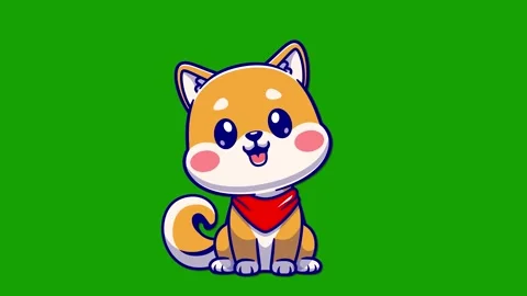 Cute dog is dancing on green background Stock Footage 303881331