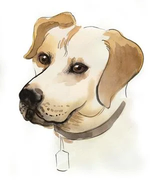 Cute dog head Stock Illustration