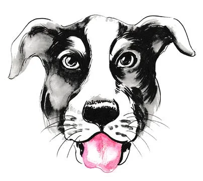 Cute dog head Stock Illustration