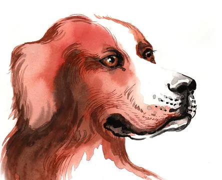 Cute dog head Illustrazione stock