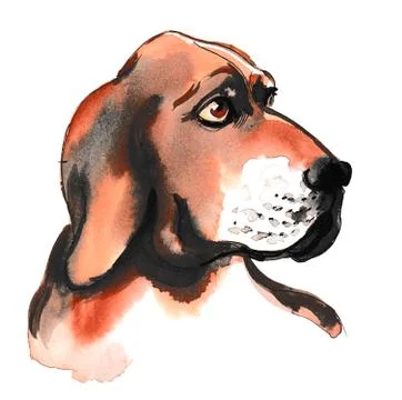 Cute dog Illustrazione stock