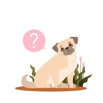 Cute dog with question mark. Pug with confusion emotion. Stock Illustration