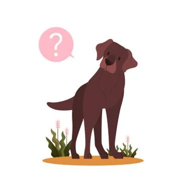 Cute dog with question mark. Purebread boston terrier with confusion Stock Illustration