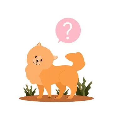 Cute dog with question mark. Purebread boston terrier with confusion Stock Illustration