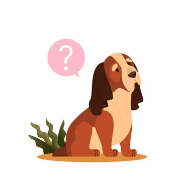 Cute dog with question mark. Purebread basset hound with confusion Stock Illustration