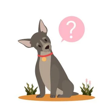 Cute dog with question mark. Purebread boston terrier with confusion Stock Illustration