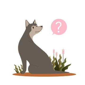 Cute dog with question mark. Russo european laika with confusion Stock Illustration
