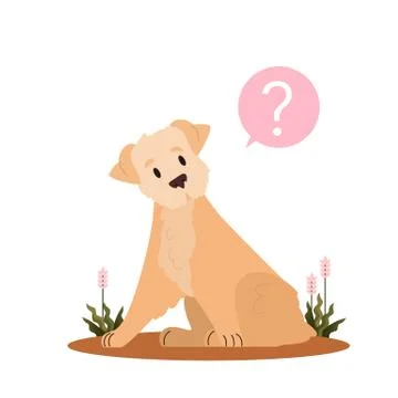 Cute dog with question mark. Russo european laika with confusion Stock Illustration