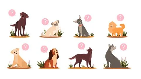 Cute dog with question mark set. Collection of purebread dog Stock Illustration