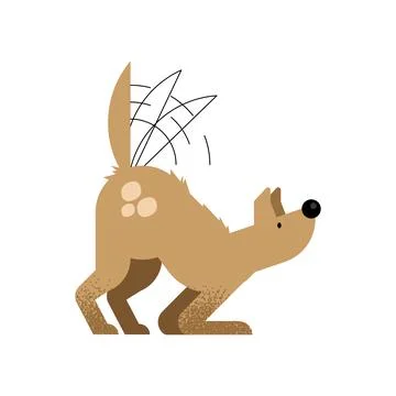Cute dog shaking off Stock Illustration