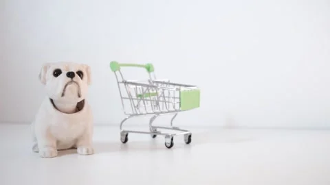 Cute dog toy with shaking head, accompanying the rhythm of the music, funny.. Stock Footage 343842462