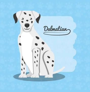 Cute dogs design Stock Illustration