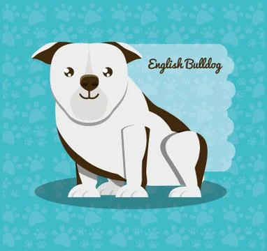 Cute dogs design Stock Illustration