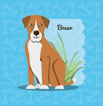 Cute dogs design Stock Illustration