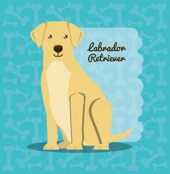 Cute dogs design Stock Illustration