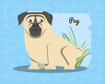 Cute dogs design Stock Illustration