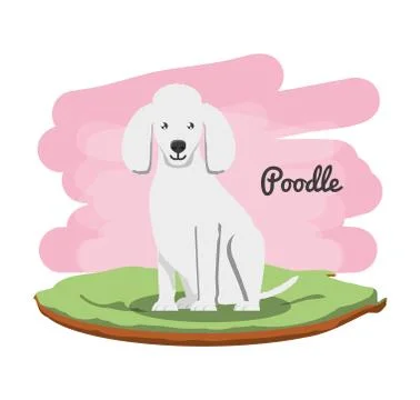 Cute dogs design Stock Illustration