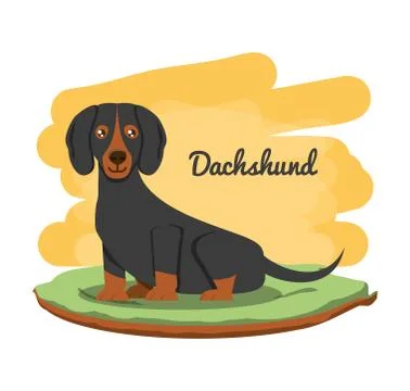 Cute dogs design Stock Illustration