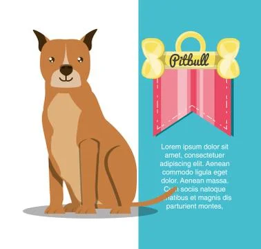 Cute dogs design Stock Illustration