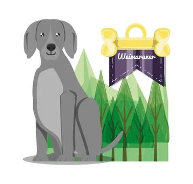 Cute dogs design Stock Illustration