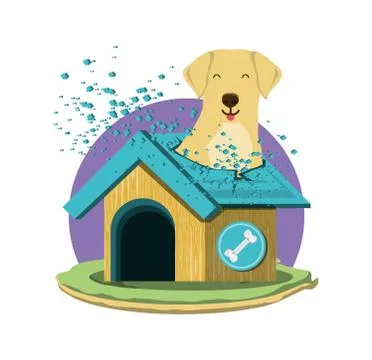 Cute dogs design Stock Illustration