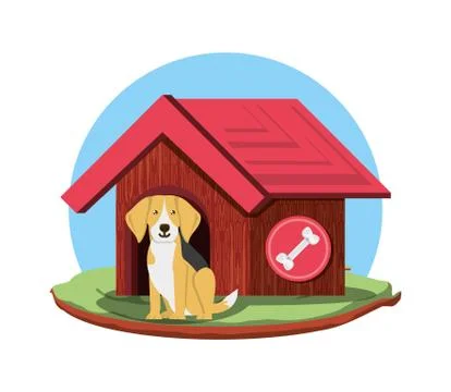 Cute dogs design Illustrazione stock