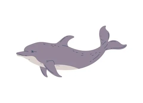 Cute dolphin swimming, flat vector illustration isolated on white background. Stock Illustration