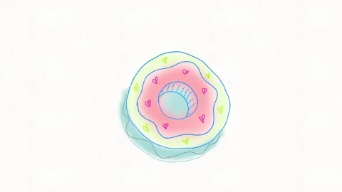 Cute Donut Top View Hand Drawn Animation Stock Footage 338000145
