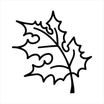 Cute doodle autumn vector maple leaf isolated on white on white background. Hand Stock Illustration