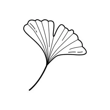 Cute Doodle Ginkgo Leaf Hand Drawn Botanical Vector Illustration for Autumn 스톡 일러스트