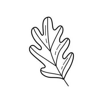 Cute Doodle Oak Leaf Hand Drawn Autumn Foliage Vector Illustration Illustrazione stock