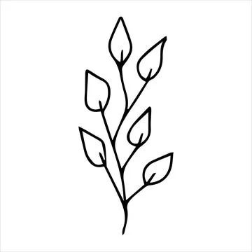 Cute doodle style twig Stock Illustration